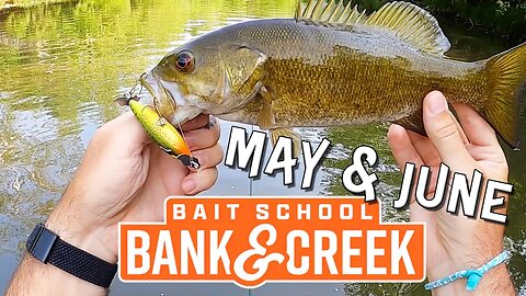 The first ever Lurenet Bank & Creek Kit SLAM!!!! ( It's topwater season!! )