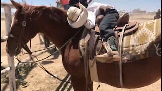 Little cowboy falls asleep on horse