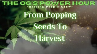 From Popping Seeds To Harvest