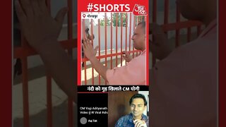 nandi k to mje hn bhai #shorts #yogi #nandi