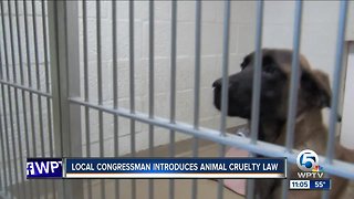 2 Florida congressmen file animal cruelty bill