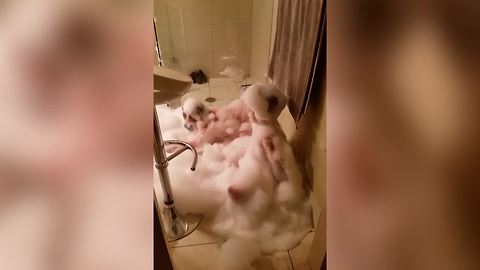 Two Young Boys Make A Mess With Bath Bubbles And Foam