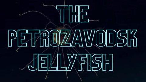 The Petrozavodsk Jellyfish