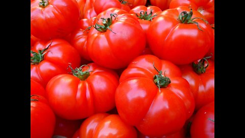 Tomatoes and Potatoes: Be Prepared For Shortages