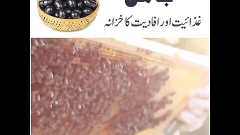 Jamun Khane Ke Fayde #Benefits #BlackPlum #SobanAttari#dawateislami #viral #madanichannel #video