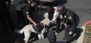 Furry friend for local first responders