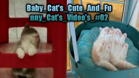 Baby_Cat's_Cute_And_Funny_Cat's_Video's_#02