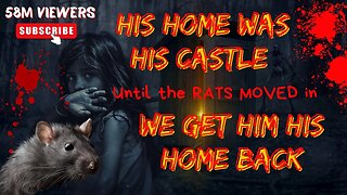 RATS destroying your home? STOP RATS NOW!!!