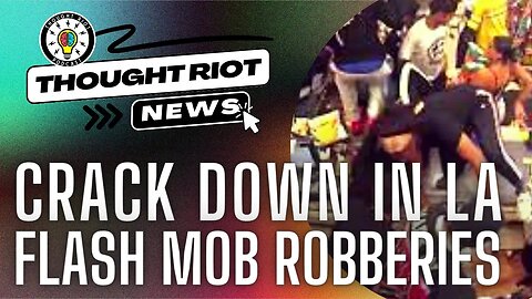 Flash Mob Robberies | $500k+ | Los Angeles Task Force | #new #crime #news