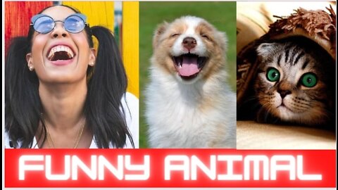 Funny animal movement| funy animal | animal completion,