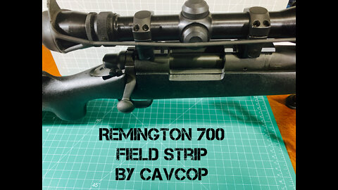 Field Strip of Remington 700