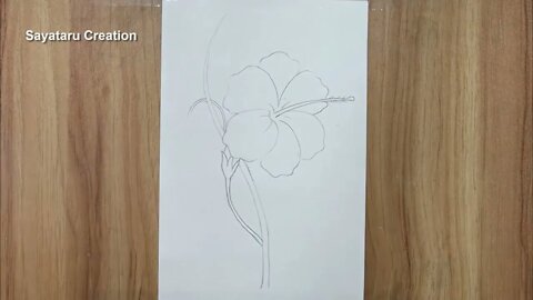 How to draw a hibiscus flower step by step pencil sketch