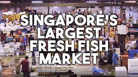 Hai Sia Seafood: Singapore's Own "Tsukiji" Fish Market