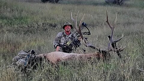 2022 Gila Archery Elk Hunt - w/ shot