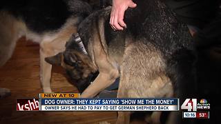 Owner says he had to pay get lost german shepherd back