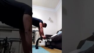 Day 10 - Learning How To Do Handstand Push Ups