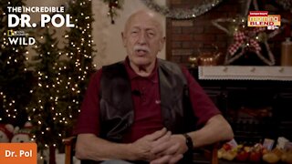 Dr. Pol's Holiday Tip