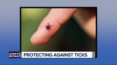 How to avoid tick-borne illnesses this summer