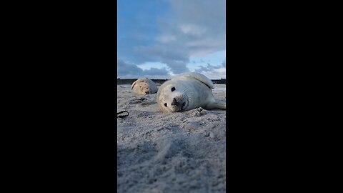 the beauties of the ice beach...!