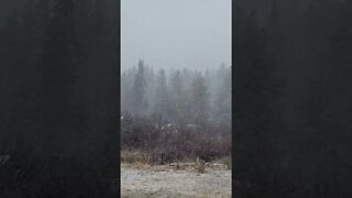From Sun to Snow in 24 Hours