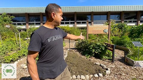 Discover this Hidden Oasis: UMass Food Forest Tour 🌳🍇