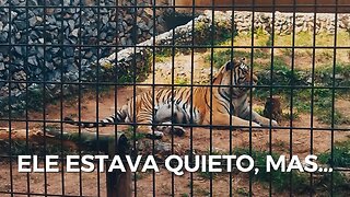 Zoológico de Sorocaba - Vale a Pena ?