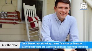 Texas state lawmaker says that according to science there are 6 biological sexes