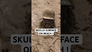 Skulls Surface on BEACH!