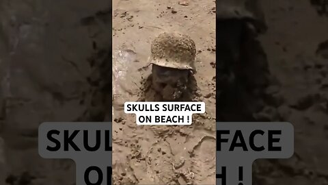 Skulls Surface on BEACH!