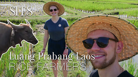 S1E8: How we became rice farmers in Laos?!