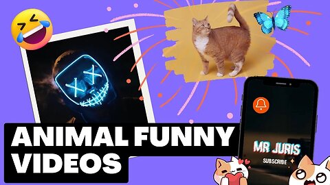 Actually Funny Animal Videos 2023🤣 #mrjuris