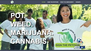 Group pushing to legalize marijuana in Florida