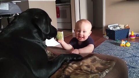 The child is feeding the ball to the dog