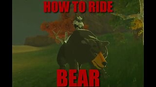 HOW TO RIDE BEAR