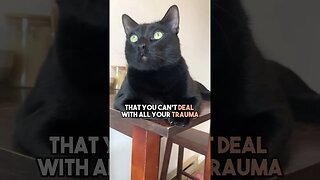 I swear, some of the comments I see😅 #cat #blackcat #leonthecatdad #leontcd #therapy #relationship