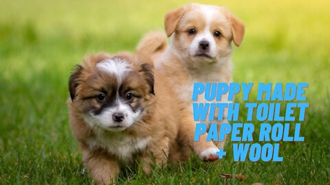 Puppies made with empty toilet paper roll and wool.