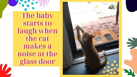 The baby starts to laugh when the cat makes a noise at the glass door