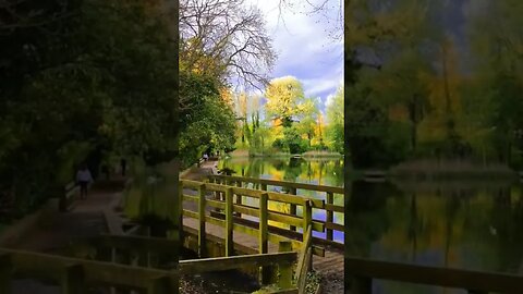 reflected on water #swindon #dji #drone #beautiful #landscape #nature