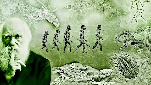 Evolution - What Darwin Never Knew - Full Documentary