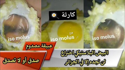 البيض البلاستيكي اختراع لن تجده إلا في الجزائر