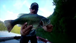 Post Spawn Bass