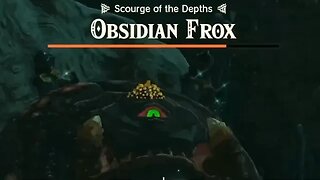 Defeating Obsidian Frox "Akkala Highlands Depths" - The Legend of Zelda: Tears of the Kingdom