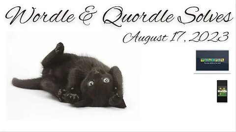 Wordle & Quordle of the Day for August 17, 2023 ... Happy Black Cat Appreciation Day!