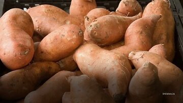 YAM V3 Price Prediction 2022, 2025, 2030 YAM Price Forecast MINT Price Forecast Cryptocurrency Pr