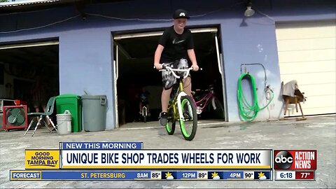 Bike shop offers you a free bicycle if you build it yourself