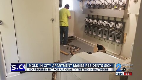 Mold in city apartment makes residents sick