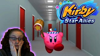 Why So Many Doors?!?!?!?: Kirby Star Allies #24