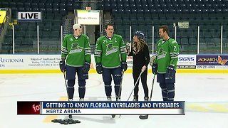 Getting to know the Florida Everblades