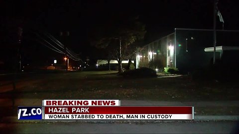 Woman stabbed to death in Hazel Park, man in custody