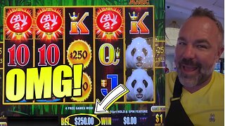 OMG! I LAND TWO $250 MAX BET JACKPOTS on Panda Magic Dragon Link!! #casino